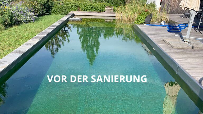 Grüner, veralgter Pool vor der Sanierung.