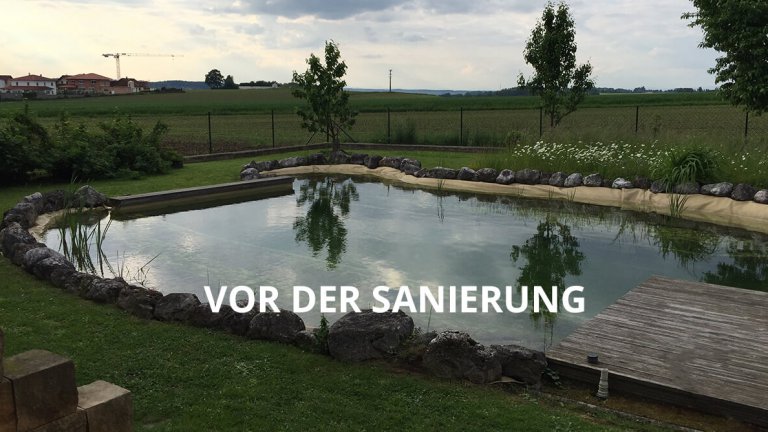 Veralgter Pool vor der Reinigung.