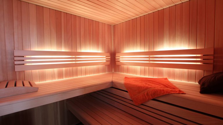 Sauna Elementsauna innen